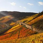 Mosel-burgblick Koblenz Lejlighed Dieblich