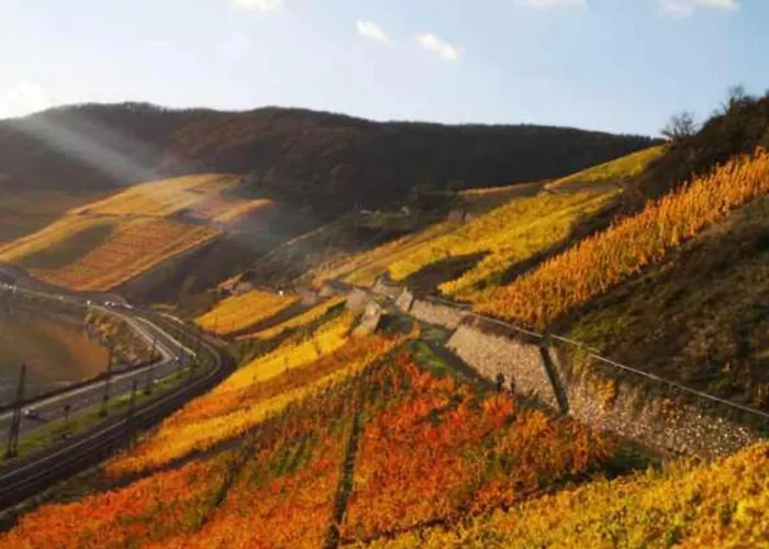 Mosel-burgblick Koblenz Διαμέρισμα Dieblich